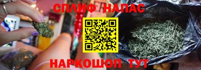 прущие крисы Кулебаки