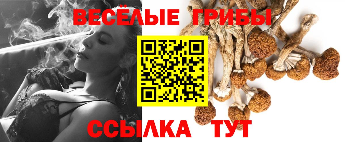Коркино  Галлюциногенные грибы Cubensis  Вход с VPN 